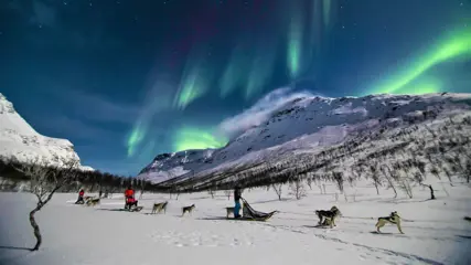 Tromsø Arctic All-in-avond bij Camp Tamok incl. husky en sneeuwscooter Noorderlicht