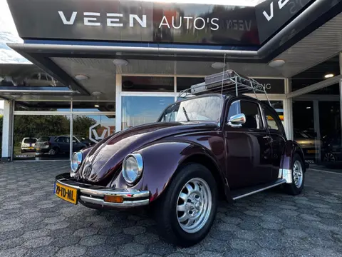 Volkswagen Kever Winterkever Ice Blue