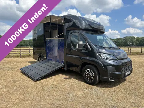 Fiat Ducato 3.65T C1-Rijbewijs 2-paards paardenvrachtwagen Automaat