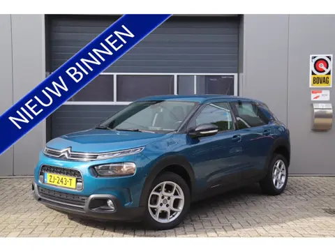 Citroën C4 Cactus 1.2 PureTech Business Automaat, Carplay, Cruise, Navi, Parkeerhulp