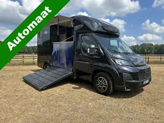 Fiat Ducato 2-paards paardenvrachtwagen B-rijbewijs NIEUW Automaat