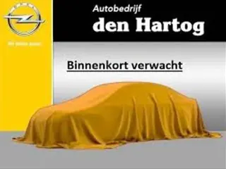 Opel Crossland X 1.2 Turbo 120 Jaar Edition Automaat/Parkeerhulp V+A/Navi/Camera.