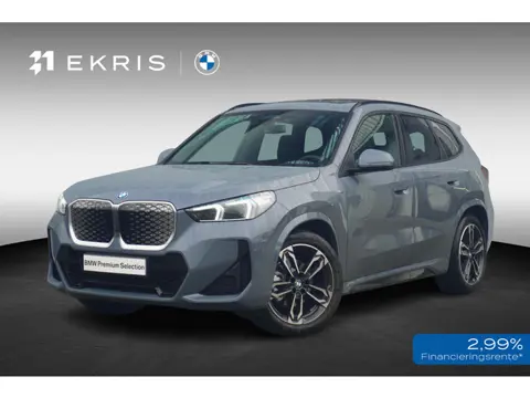 BMW iX1 eDrive20 | M Sportpakket | Panoramadak | Harman-Kardon | Driving Assistant Plus | Trekhaak