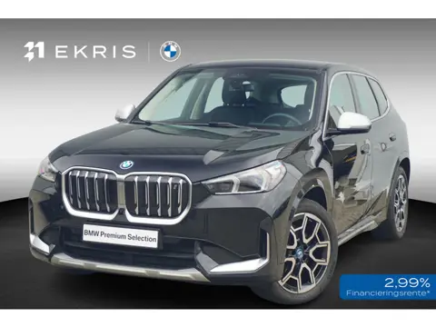 BMW iX1 xDrive30 | Head-Up Display | Driving Assistant Plus | Comfort Access | Trekhaak