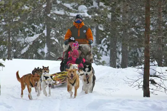 Huskysafari familie wildernistour - 30 min