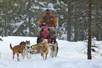 Huskysafari familie wildernistour - 30 min