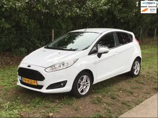 Ford Fiesta 1.0 EcoBoost Titanium 100 pk, zeer mooie staat