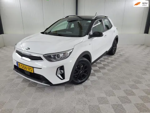 Kia Stonic 1.0 T-GDi MHEV DynamicLine, Camera, Carplay
