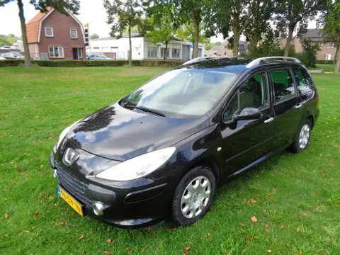 PEUGEOT 307 met nieuwe a p k 