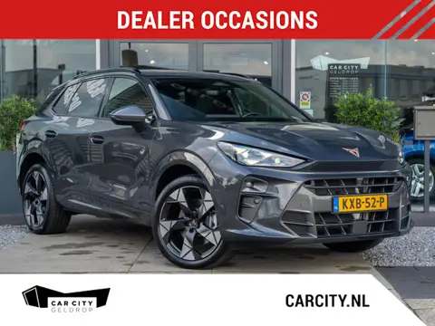 Cupra Terramar 1.5 TSI eHybrid 204pk PHEV Business / Panoramadak / Trekhaak