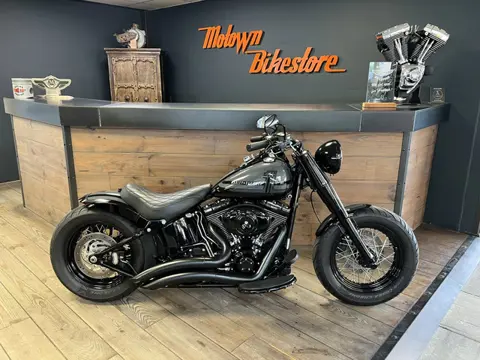 Harley Davidson FLS Softail Custom Special Paint Custom Rear 200