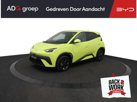 BYD DOLPHIN SURF Boost 43 kWh Nieuw | Navigatie | Apple Carplay - Android Auto