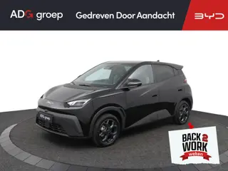 BYD DOLPHIN SURF Comfort 43 kWh / Tijdelijk met 2000 inruilpremie! /  360° camera / 310 KM / Apple C