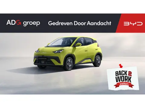 BYD DOLPHIN SURF Active 30 kWh | Achteruitrijcamera | Adaptieve cruise control | Apple Carplay
