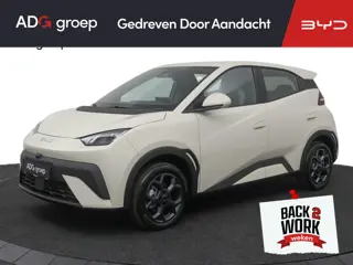 BYD DOLPHIN SURF Boost 43 kWh | 322 KM Range | Elektrisch verstelbare voorstoelen ​|  Blade Battery|