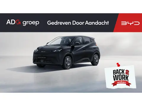 BYD DOLPHIN SURF Active 30 kWh | Achteruitrijcamera | Adaptieve cruise control | Apple Carplay