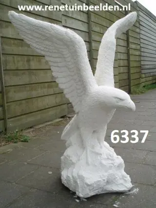 Adelaar. nr 6337