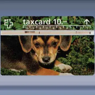 Hond (606C) (1996)