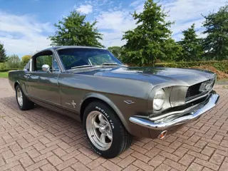Ford Mustang FASTBACK 289 V8 C CODE! (bj 1966, automaat)