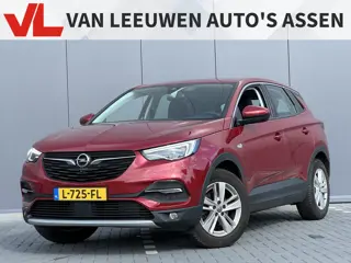 Opel Grandland X 1.2 Turbo Business Elegance | Nieuw binnen | 360 Camera | Trekhaak |
