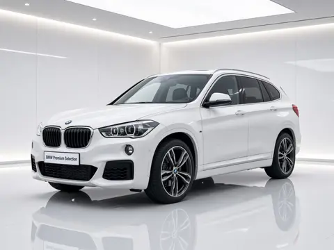BMW X1 xDrive25i High Executive | 232 pk | M-Sport | 19" | Head-Up | Trekhaak | Panorama | Harman Ka