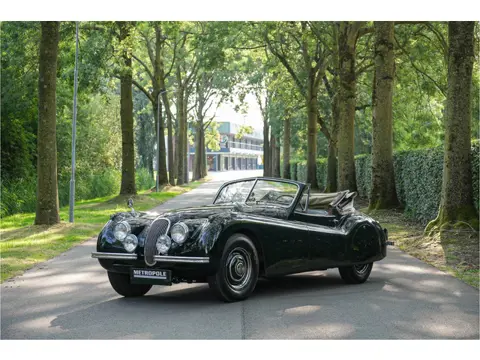 Jaguar XK 120 S0396 - M1242 (bj 1953)
