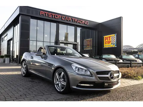 Mercedes-Benz SLK-klasse 250, 204 PK, AMG, Panoramadak, Cruise, Dealer onderhouden!