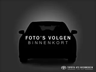 Toyota RAV4 2.5 Hybrid AWD Energy Plus , Navigatie, Parkeersensoren rondom, AWD is 1650 KG trekgewic