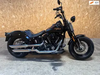 Harley Davidson 96 FLSTSB Cross Bones