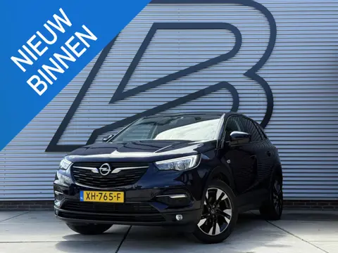 Opel Grandland X 1.2 Turbo Online Edition |Navi|Carplay|Trekhaak|PDC|Clima|Cruise|N.A.P|APK tot 02-2