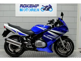 Suzuki GS 500 F (bj 2004)