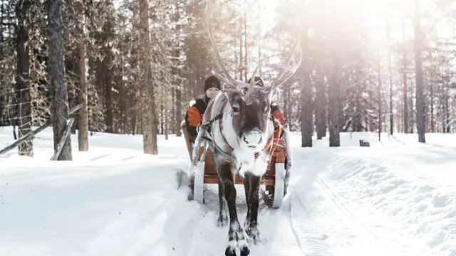Lapland Hotel Riekonlinna appartementen Saariselkä