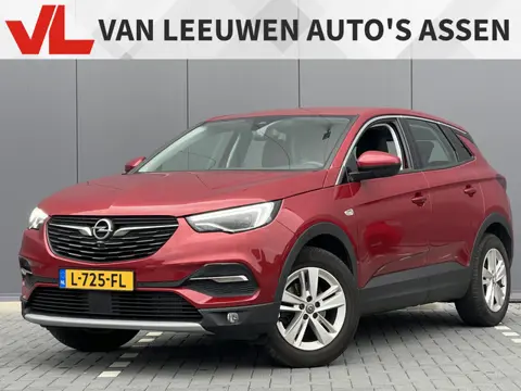Opel Grandland X 1.2 Turbo Business Elegance | RIJKLAAR | 360 Camera | Trekhaak |