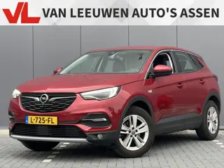 Opel Grandland X 1.2 Turbo Business Elegance | RIJKLAAR | 360 Camera | Trekhaak |