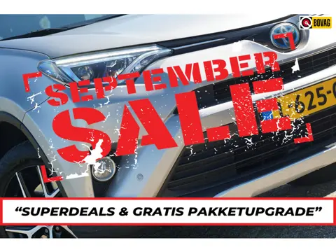 Toyota RAV4 2.5 Hybrid Style - Silver Sky - Compleet onderhouden - Chique