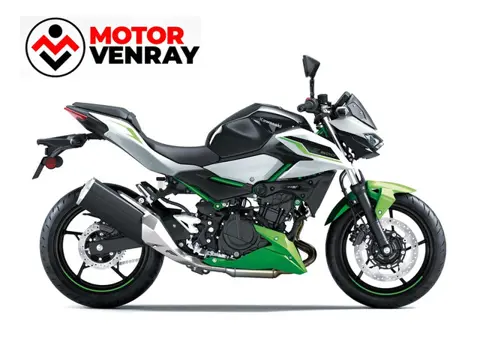 Kawasaki Z500 SE (bj 2027)