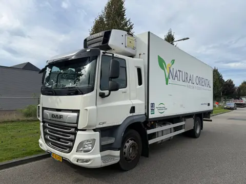 DAF CF 290 cf 9-2018 only 282.000 km (bj 2018, automaat)