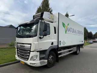 DAF CF 290 cf 9-2018 only 282.000 km (bj 2018, automaat)