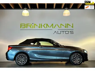 BMW 2-serie Cabrio 220i High Executive - NL Auto - Leder - Sp. Stoelen.