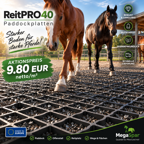 Extreem robuuste Paddockplaten & Grasroosters voor paarden