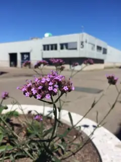 Kantoorruimte, ca 9m2 voor € 189,- per maand