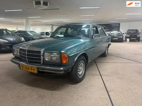 Mercedes-Benz 200-280 (W123) 300 D 5 cyl. Uniek!! Automaat top onderhouden!!
