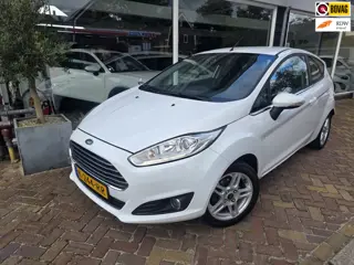 Foto 20 van Ford Fiesta 1.0 EcoBoost Titanium,nette auto