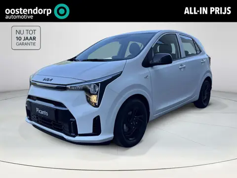 Kia Picanto 1.0 GDi 50 Jaar Oostendorp Jubileum Editie | Zwarte Accenten | LMV