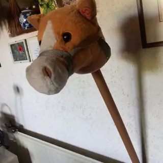 stokpaardje, voor de jonge paardenliefhebber