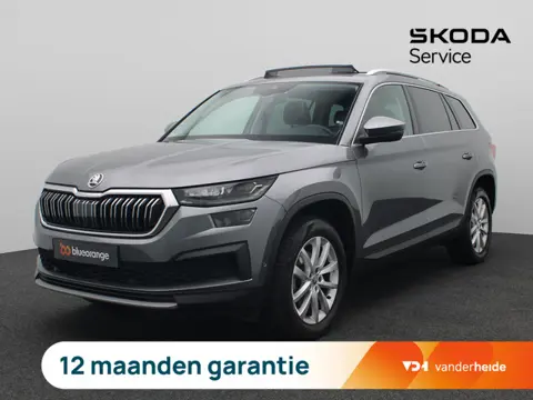 Skoda Kodiaq 1.5 TSI Business Edition Plus 7p. 150PK DSG Panoramadak, Trekhaak, 18" LM Velgen, Memor