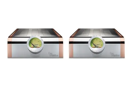 Dan D’Agostino Momentum M400 MxV Monoblock Amplifiers – Pair