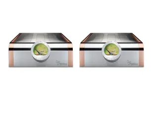 Dan D’Agostino Momentum M400 MxV Monoblock Amplifiers – Pair