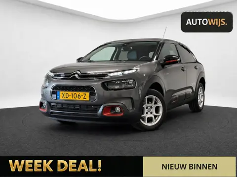 Citroen C4 Cactus 1.2 PureTech Shine|AUT|LED|LEDER|KEYLESS|NAVID-riem VV