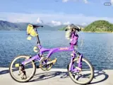 Foto 3 van Op zoek naar een Riese Birdy Müller Vouwfiets voor de Trein